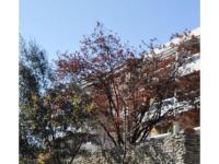 Garage à Marseille 10