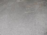 Location de parking prié (extérieur) - Séné - 7 rue Alexandra David Neel